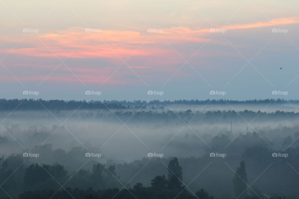 sunset and fog