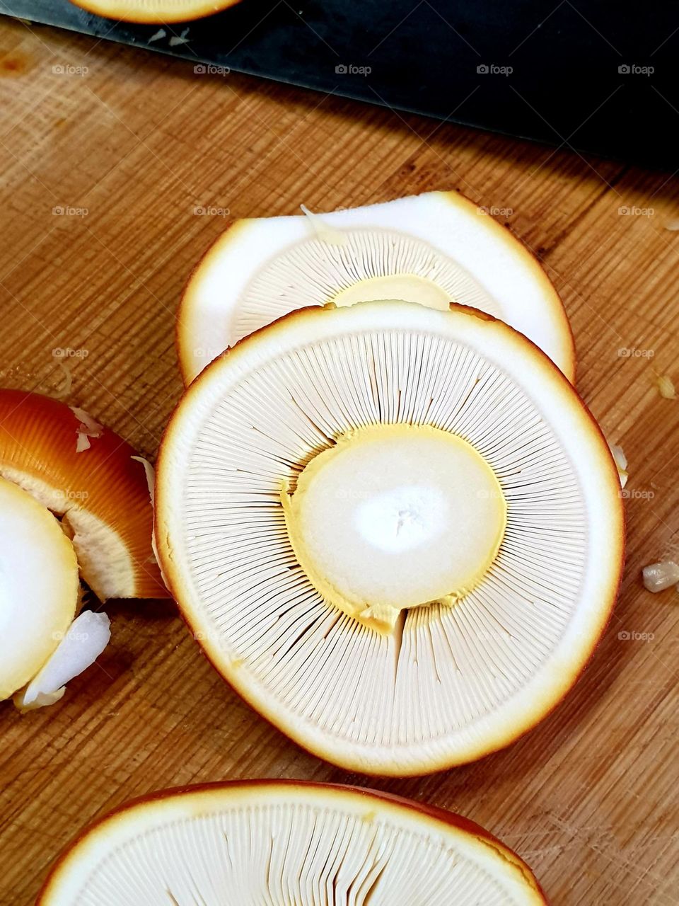 mushroom core