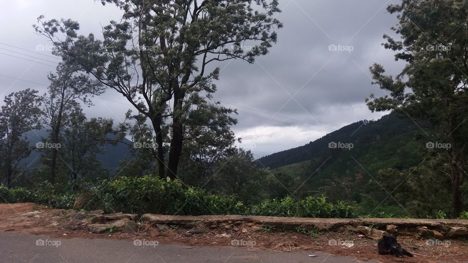 mountain in srilanka