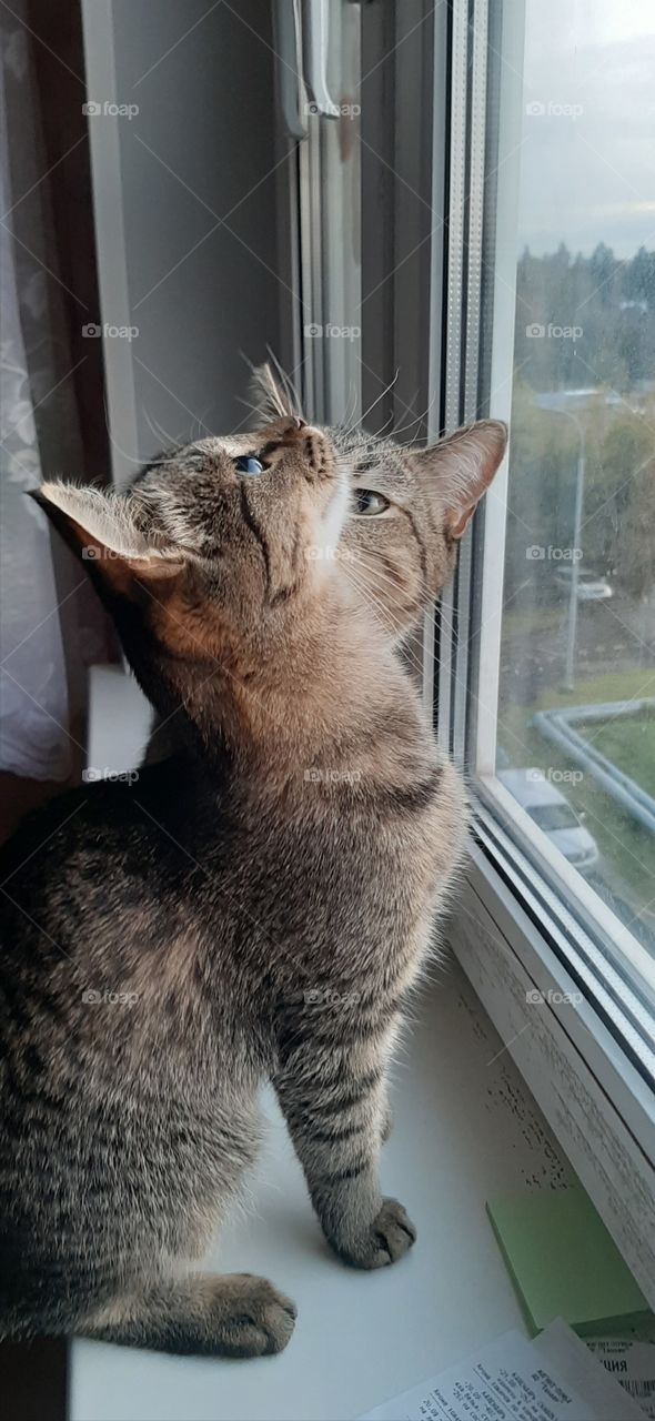 Смотри   на  меня !