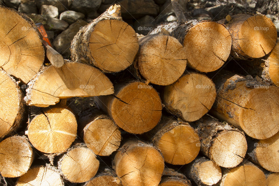 Stacked firewood