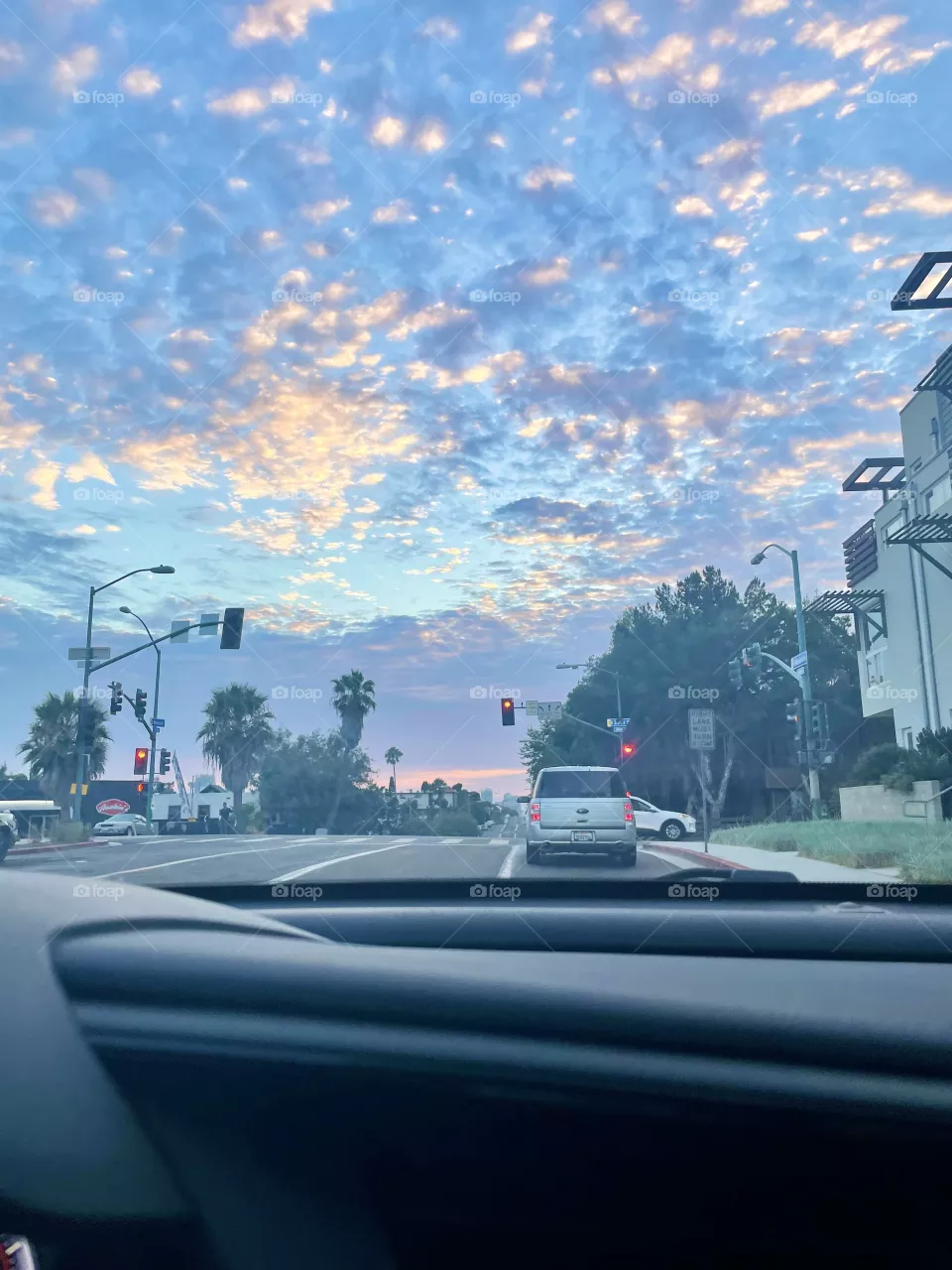 Beauty in the sky 