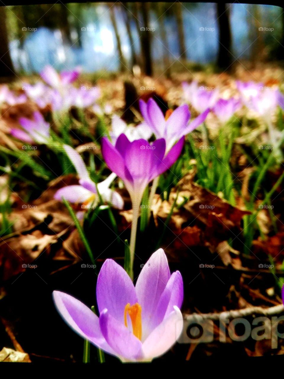 From soft & delicate, to rough, all through nature.