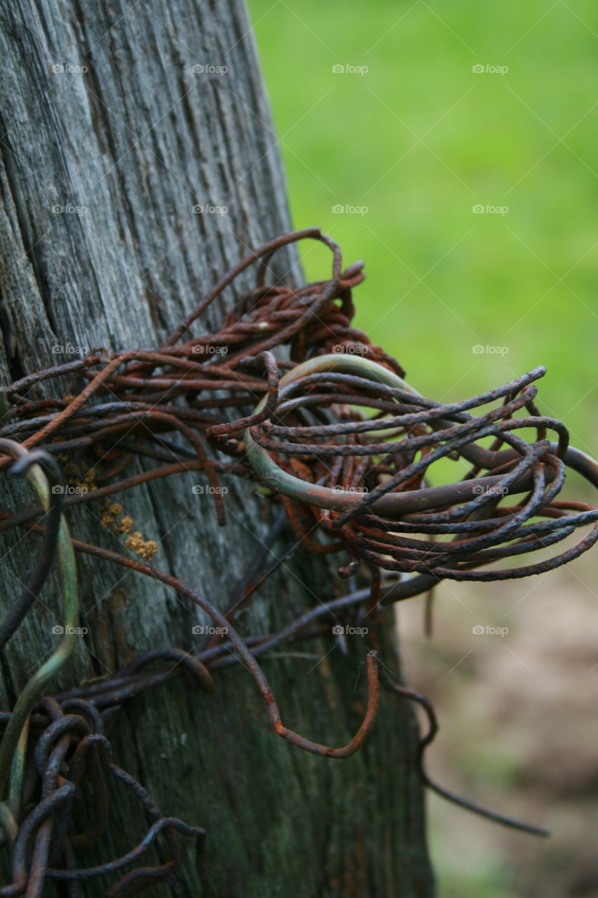 Tangled Wire