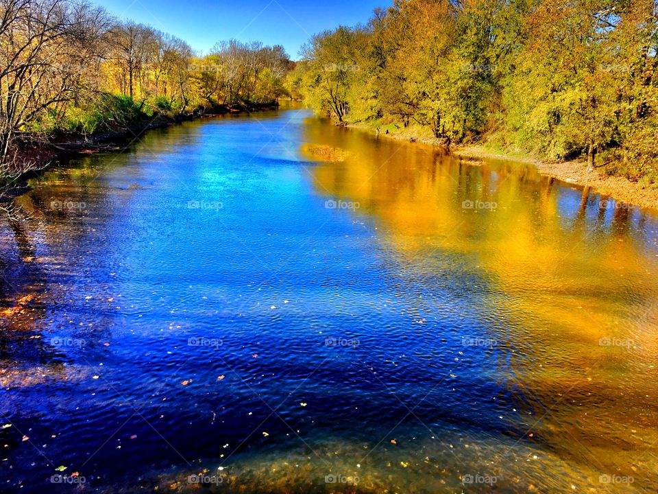 Fall on the river