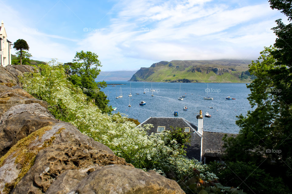 Portree view