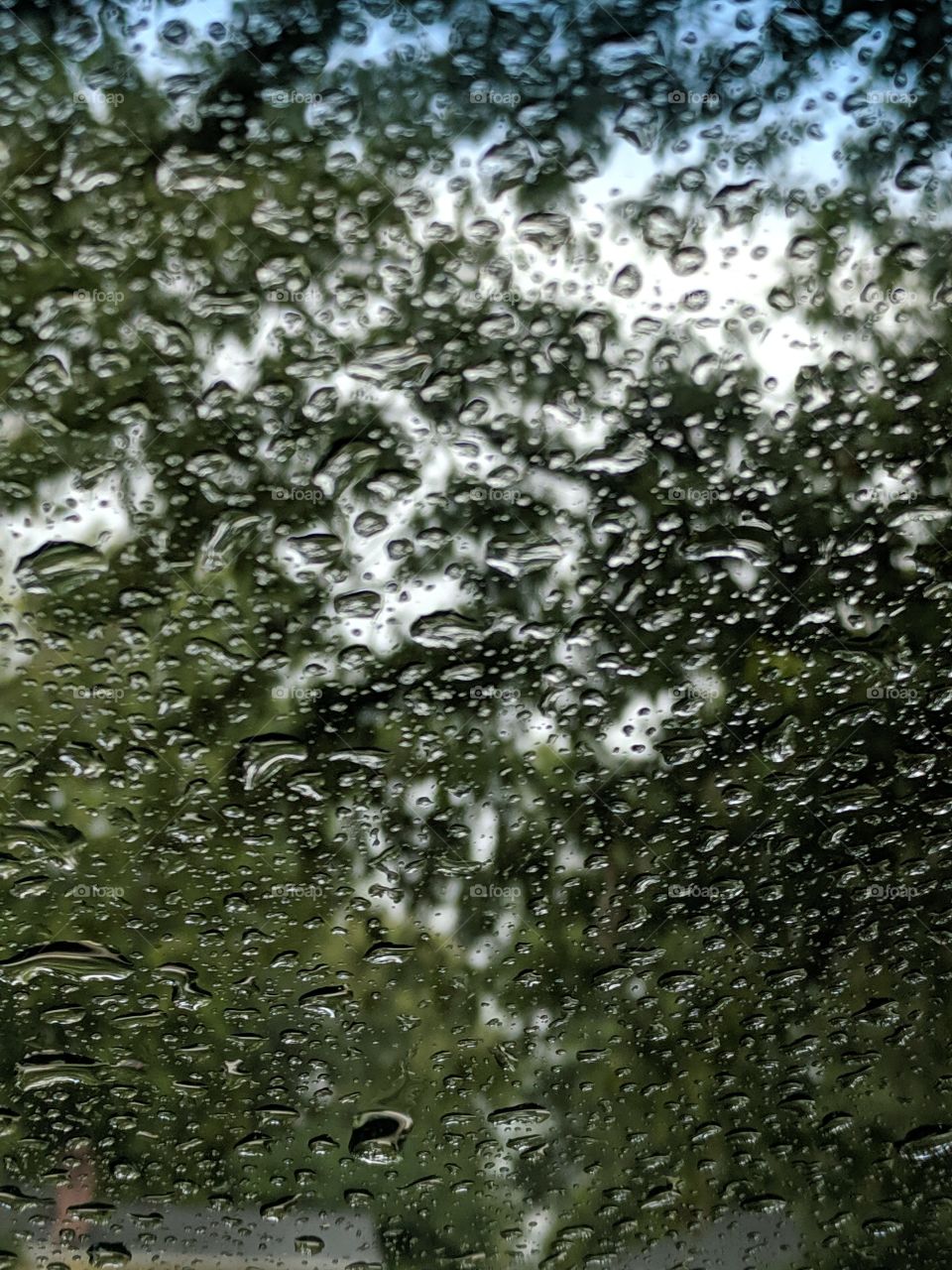 rain