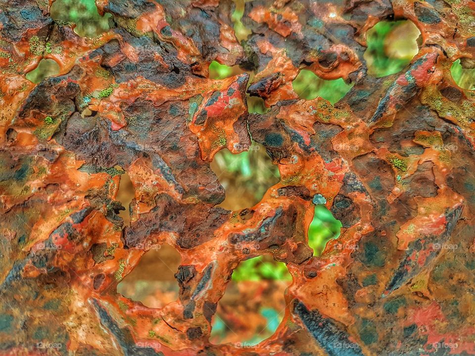 piece of metal that was all rusted through so you can see the green grass under it.