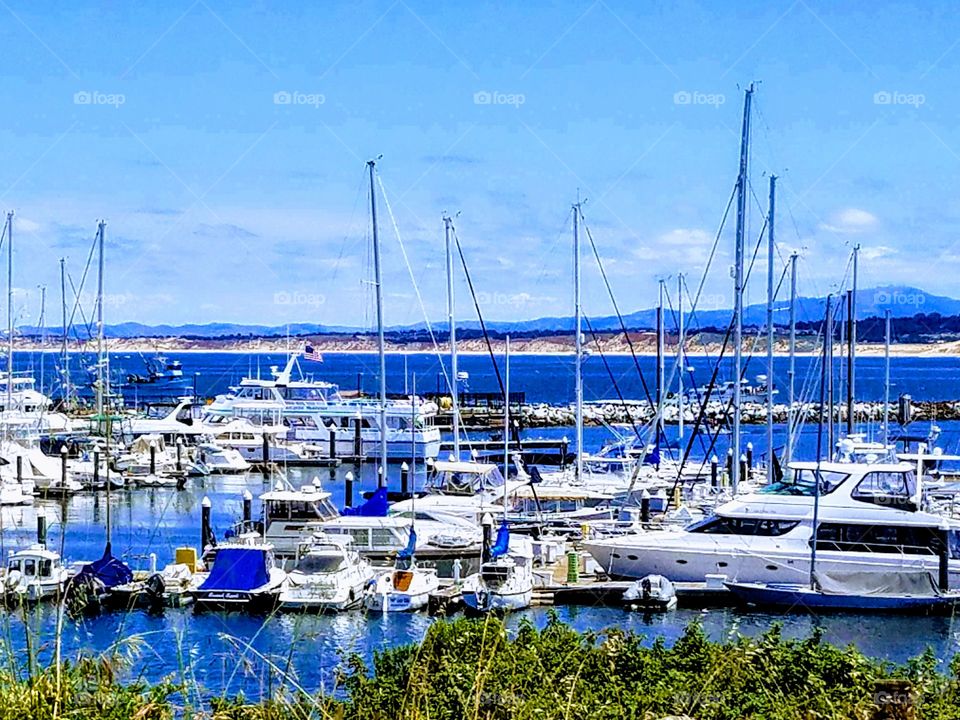 Old Fisherman's Wharf Monterey Harbor CA