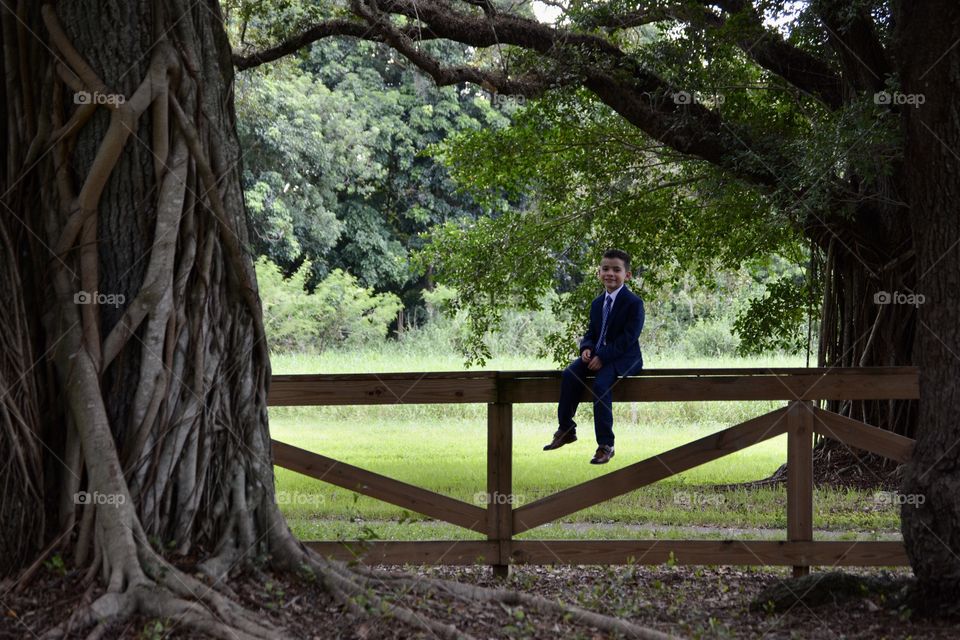 Sitting on the fence