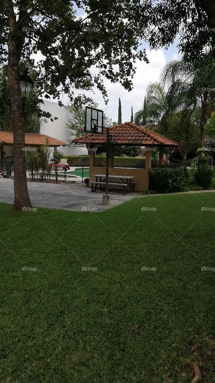 #grass#back yard#basket ball at home#pool#relax#enjoy