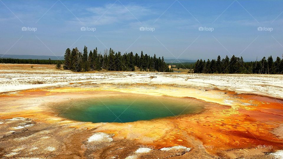 yellowstone