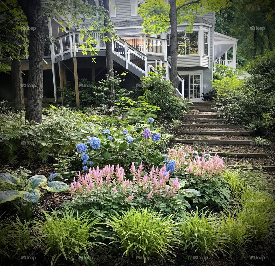 Backyard garden delight 