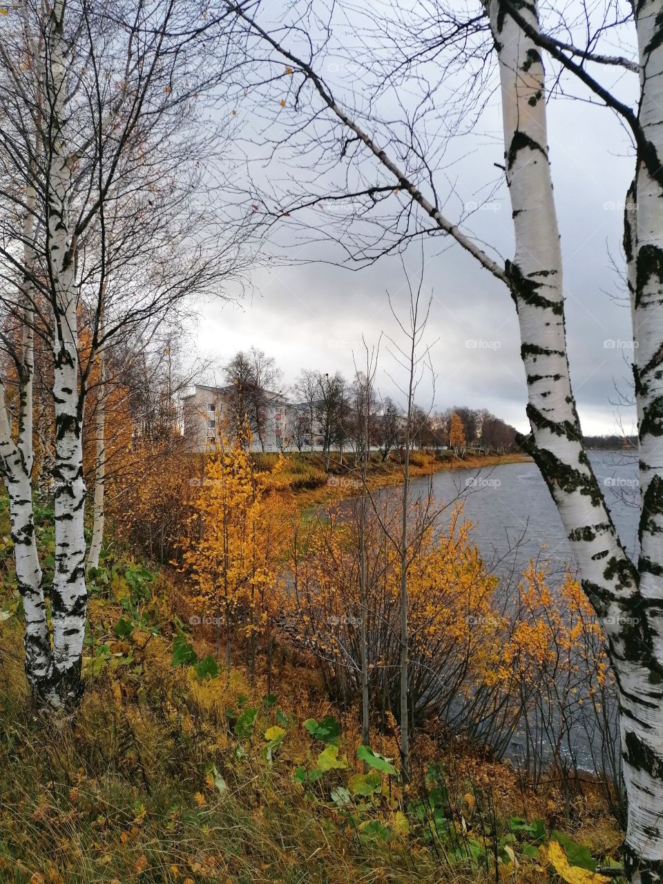 A cold autumn day in Finnish Lapland