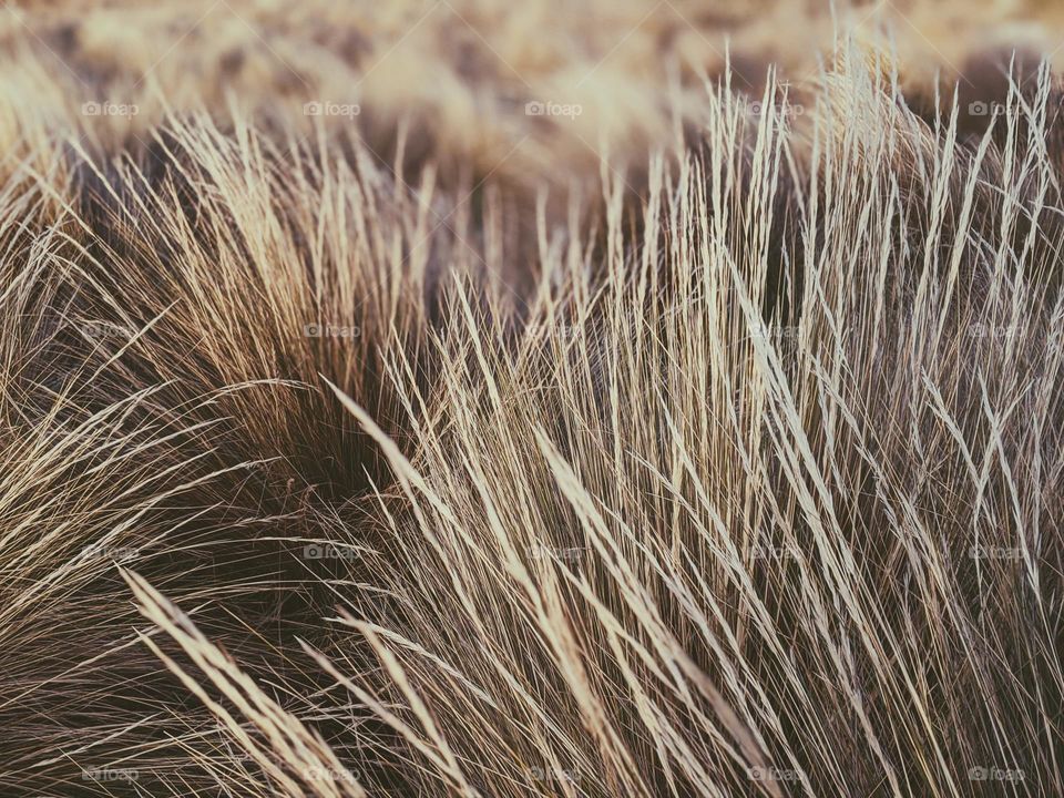 Fantastic👣👣爱上你🍂