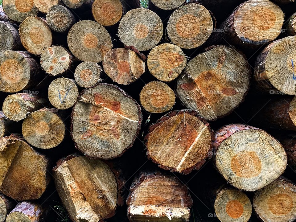 Stack of logs