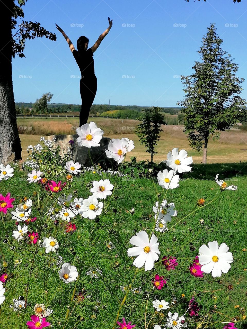 Meditation in the coutryside