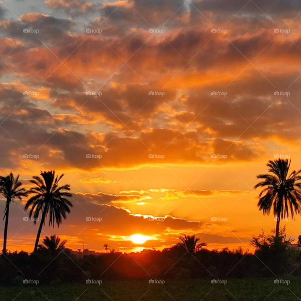 I think it's a picture worth evaluating