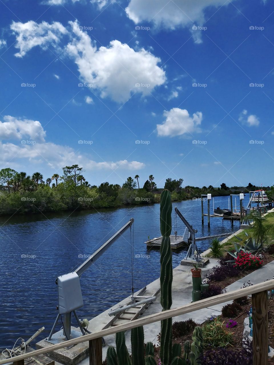 Canal Life/ Gulf Coast Florida