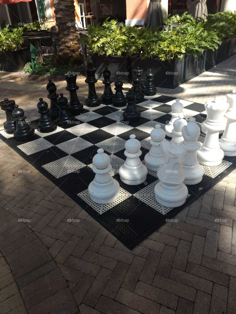 Chess Anyone