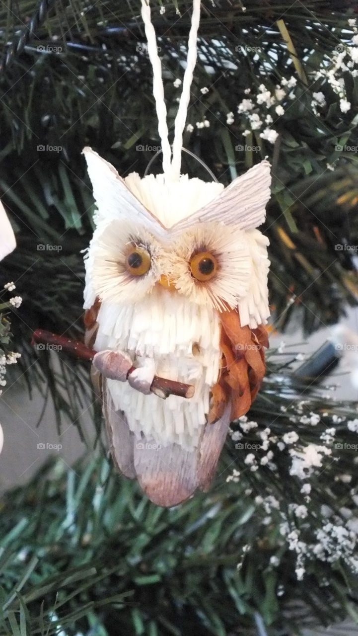 tree christmas natural branch by emmam