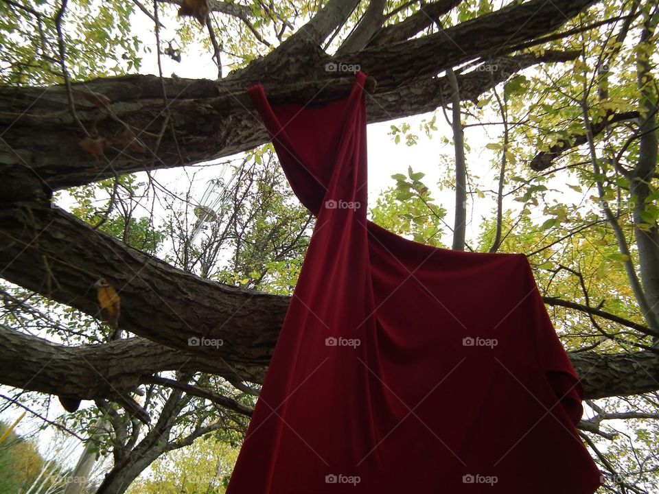 Red Dress 