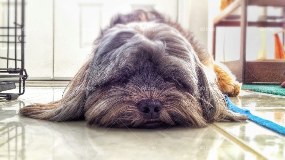 Case of Lazy Sundays