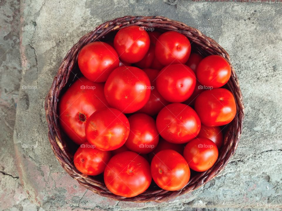 Fresh red tomatoes in basket. Harvesting