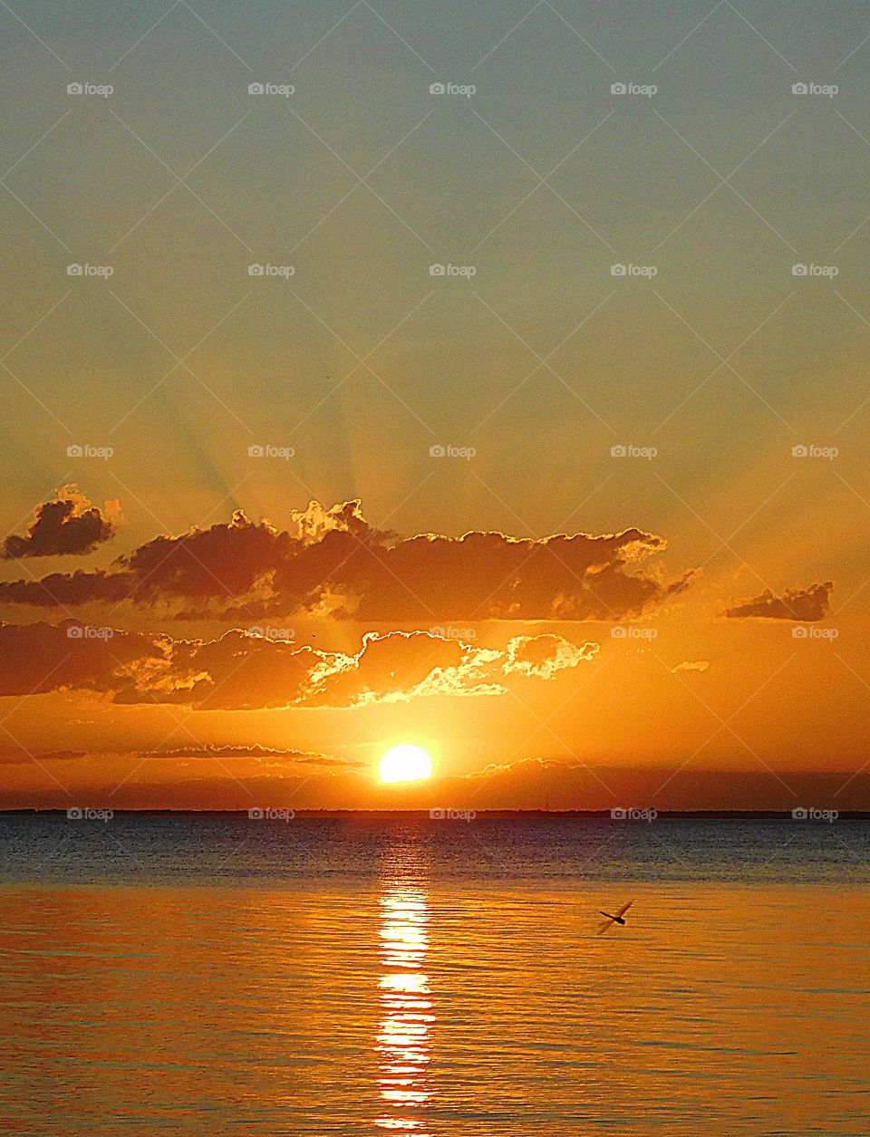 Spray of Rays- a descending sunset projects its sun rays outward into the clouds and the shimmering surface of the bay