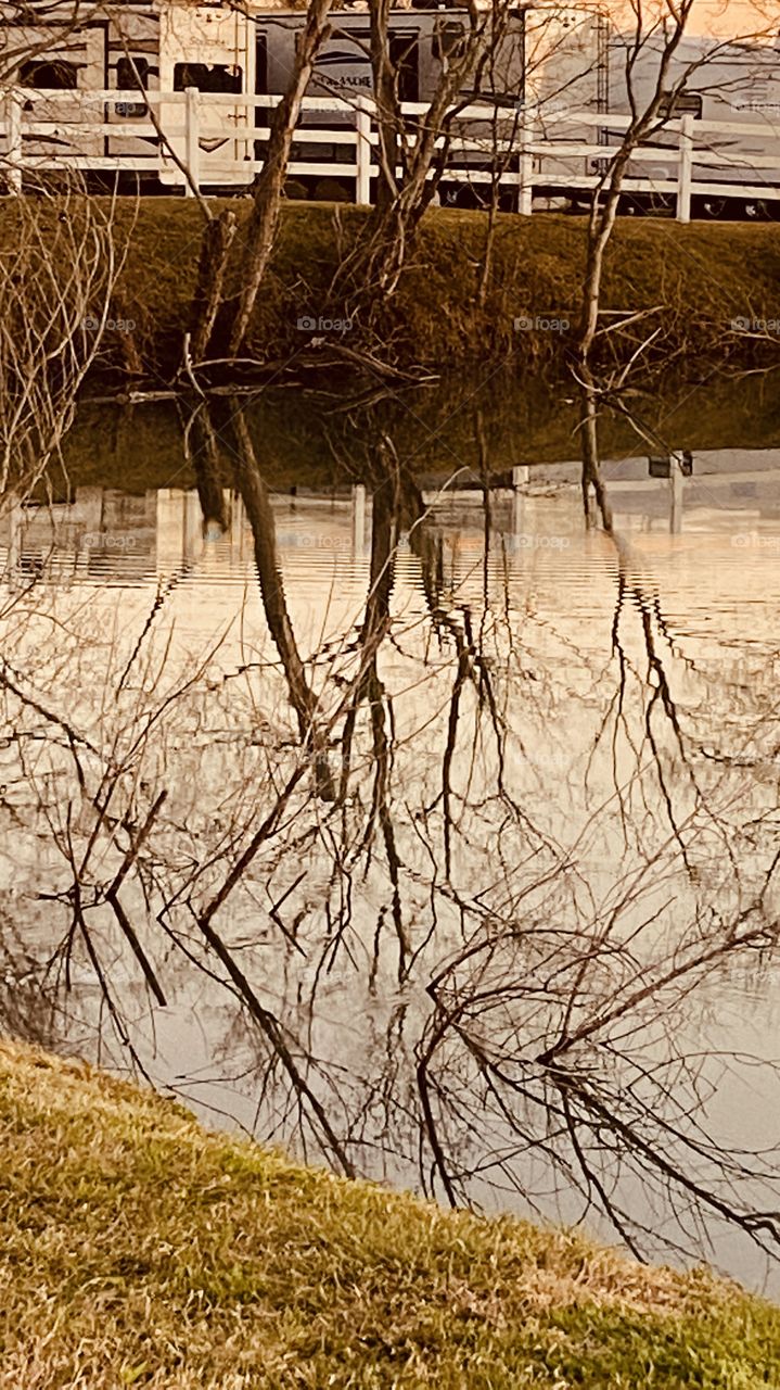 The wonders of taking Pictures on a completely Slick Lake Waters. absolutely Gorgeous Reflective Picture. Every tiny swig of every branch Silhouetted in this picture. So Peaceful to be able to sit and Picture this Scenery.