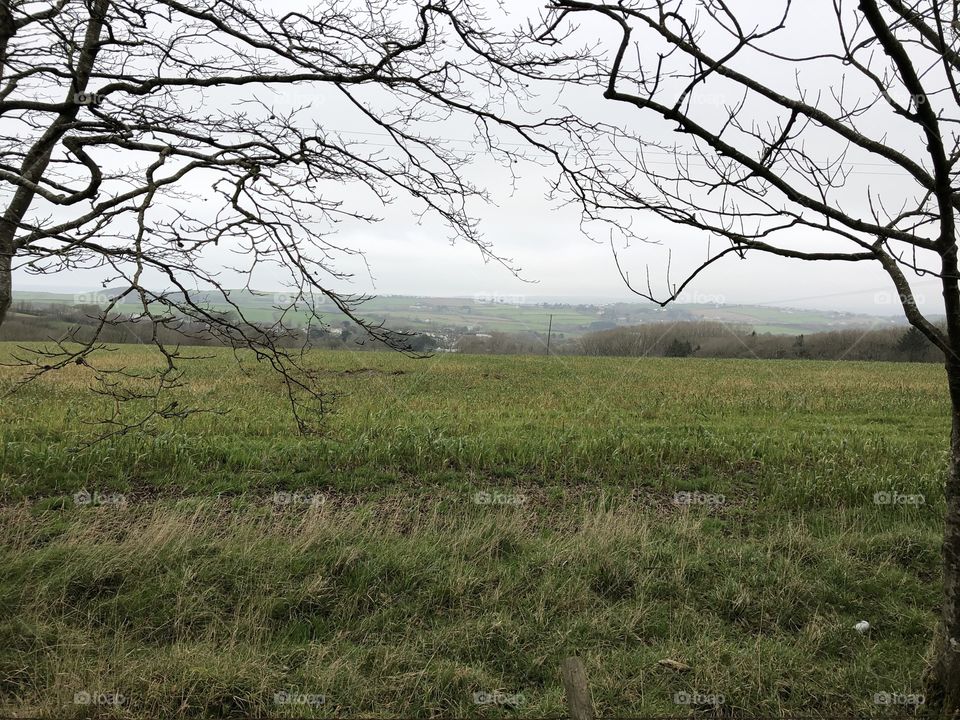 One more Bideford near Barnstaple country scene on colour and black and white. Countryside at its best.