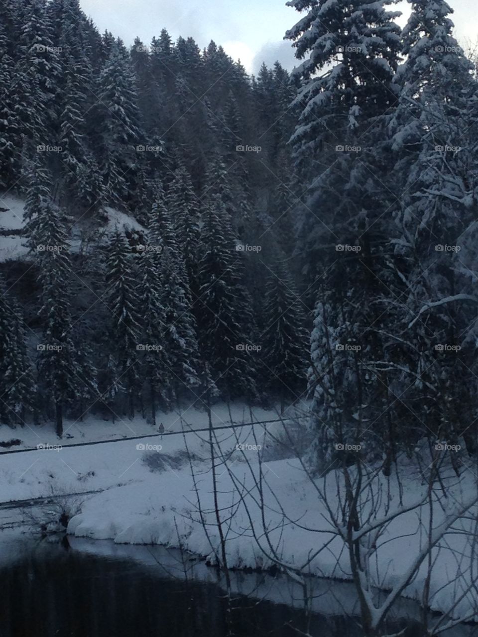 Snowy landscape of the upper French Doubs