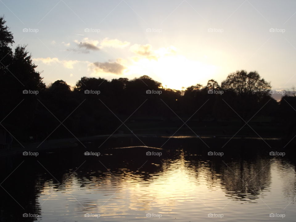 Reflections At Dusk