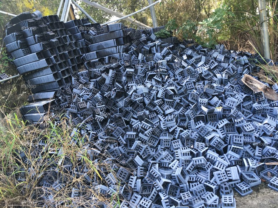 Urbex World of Orchids in Florida 