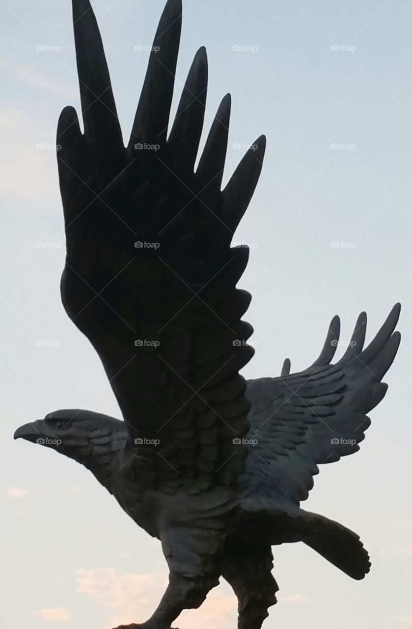 Hawk statue