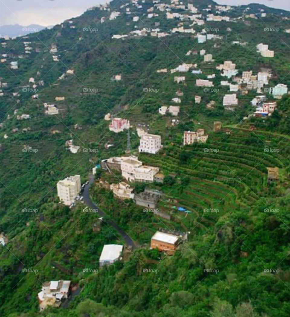 I need your support guys, I'm very, very poor, poor