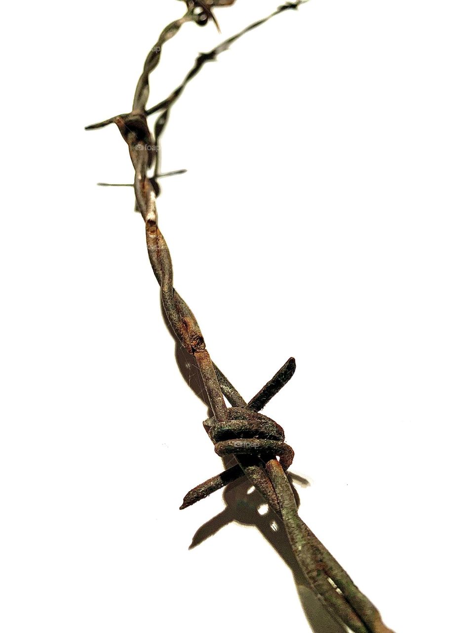 A piece of barbed wire used during the First World War, a warning against all wars