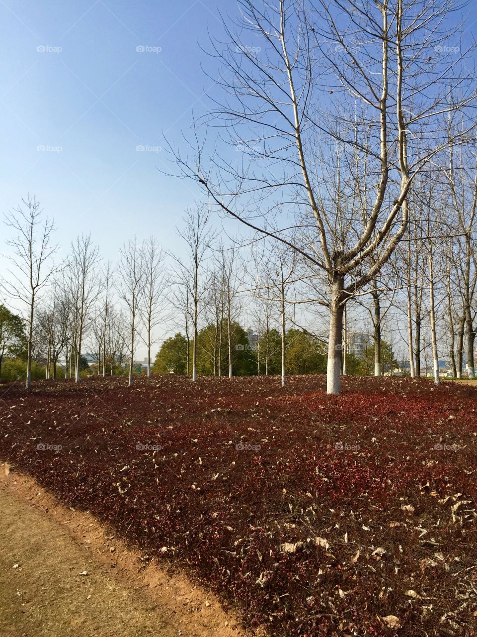 Autumn in the city Yiwu, China