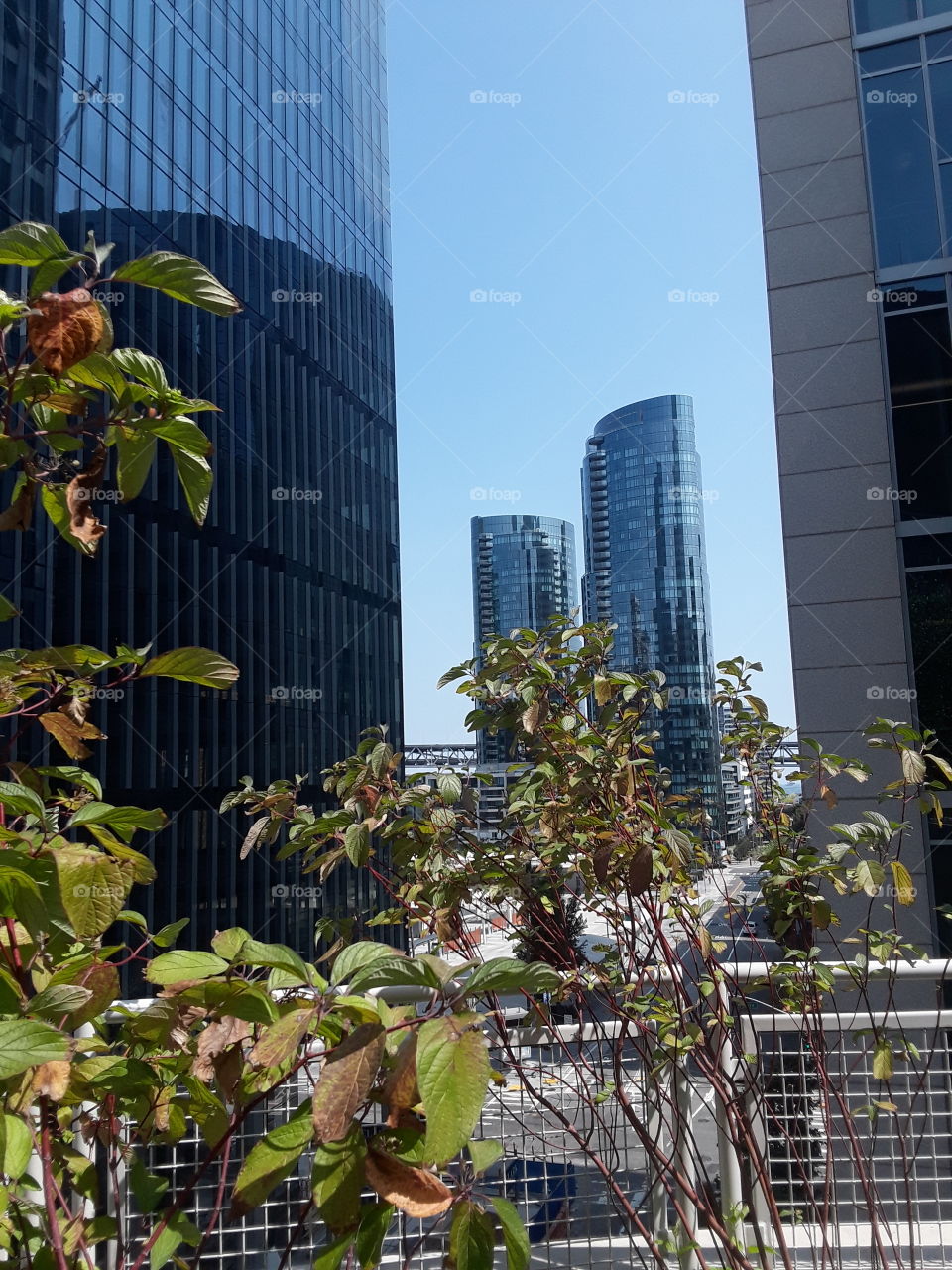 Salesforce Park San Francisco California