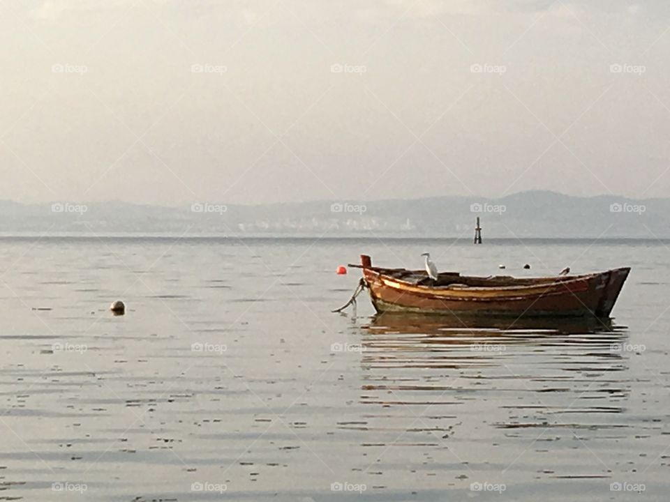 Sea Bird and his Boat 