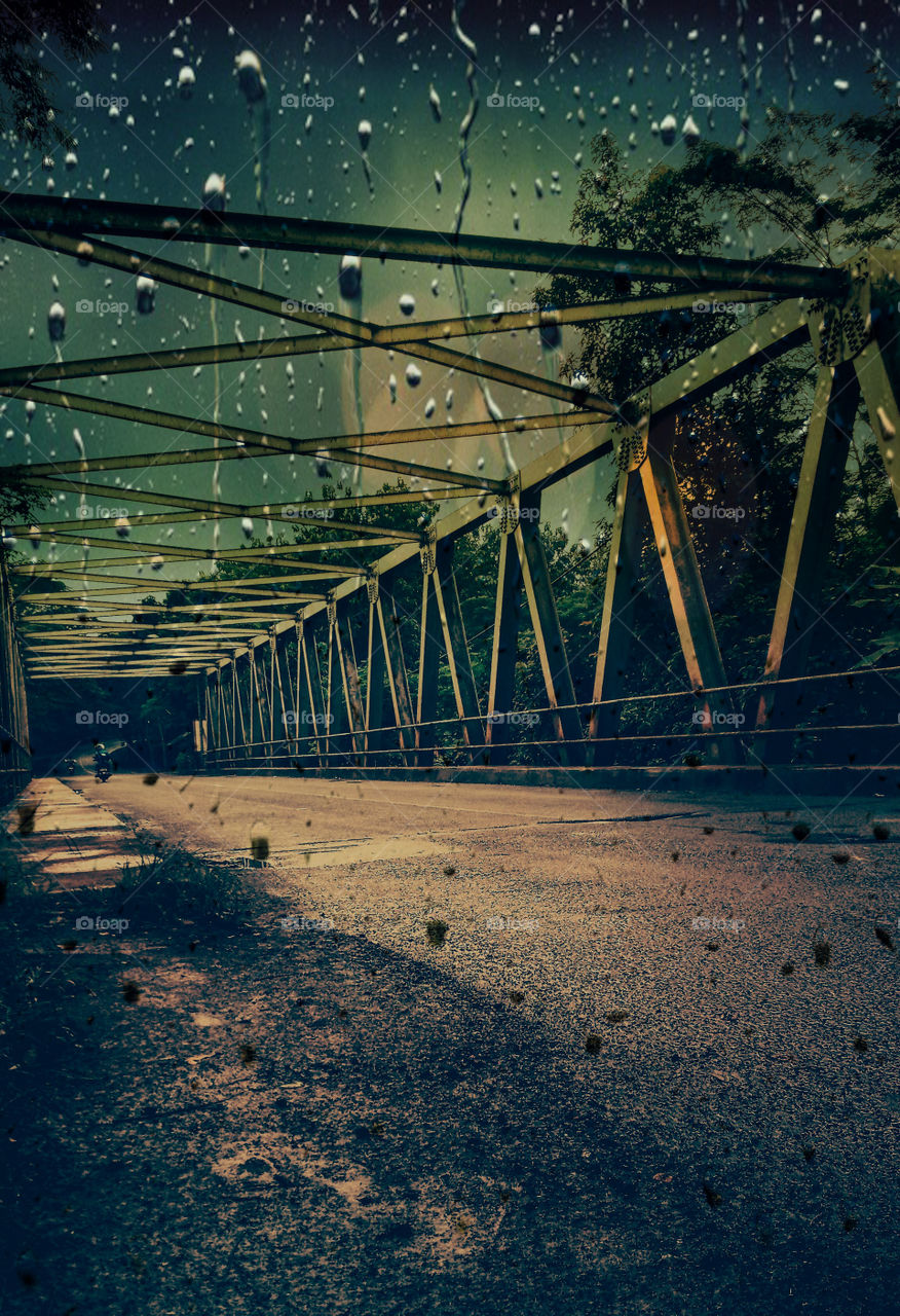 bridge smartphone photo specialized edition