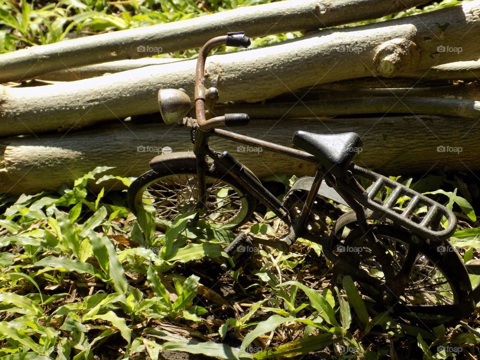 Toy bicycle on the grass