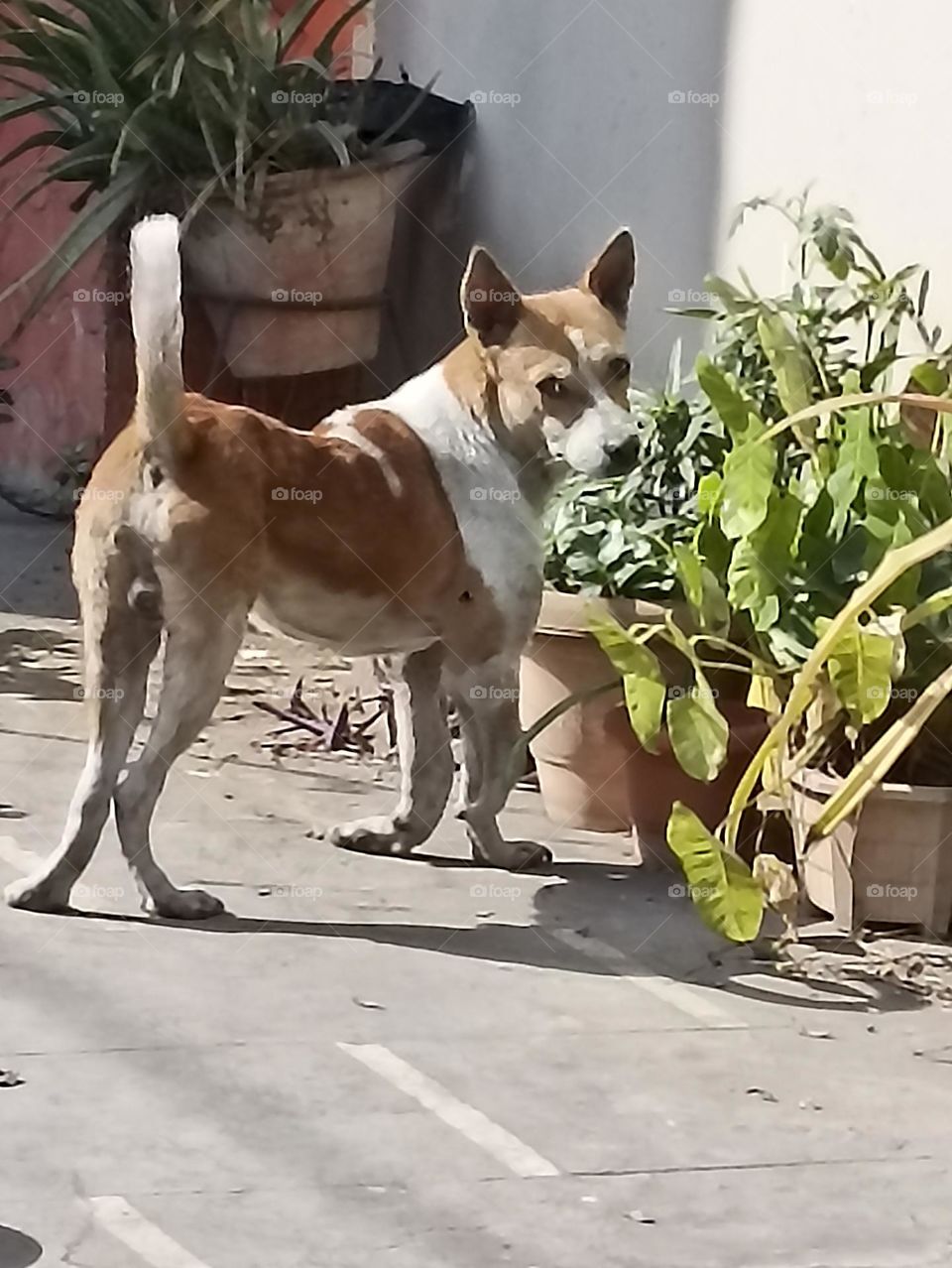 I am watching you so stay away from me