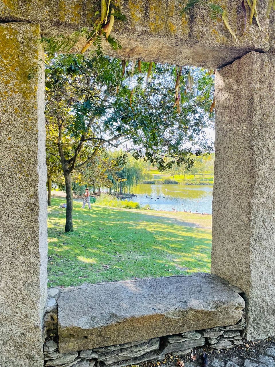 window to nature