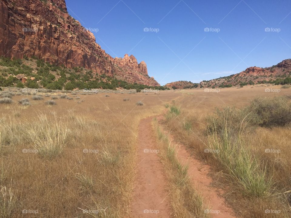 Hiking trail in Utah 