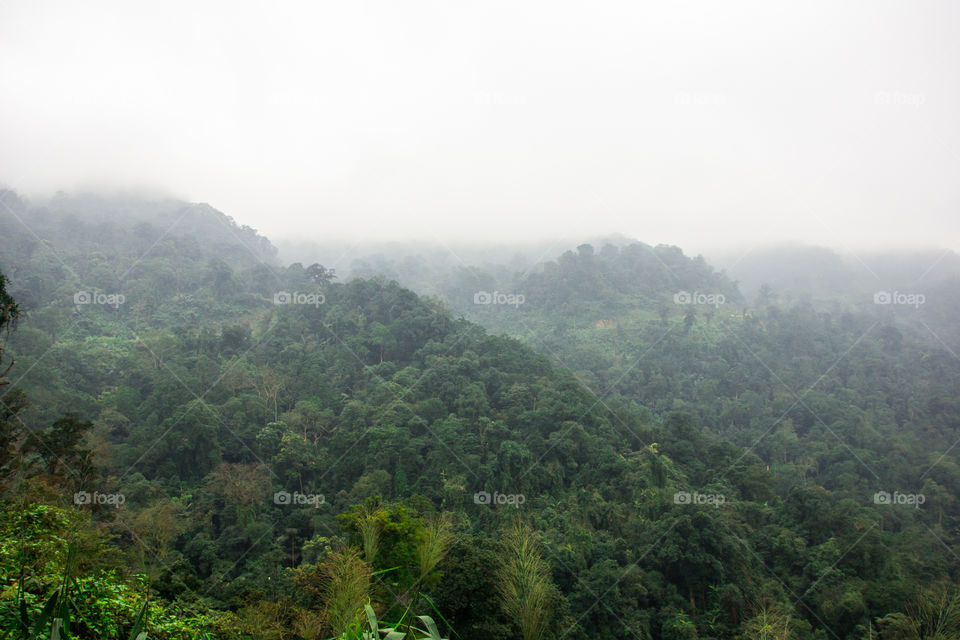 Foggy morning in Vietnam 