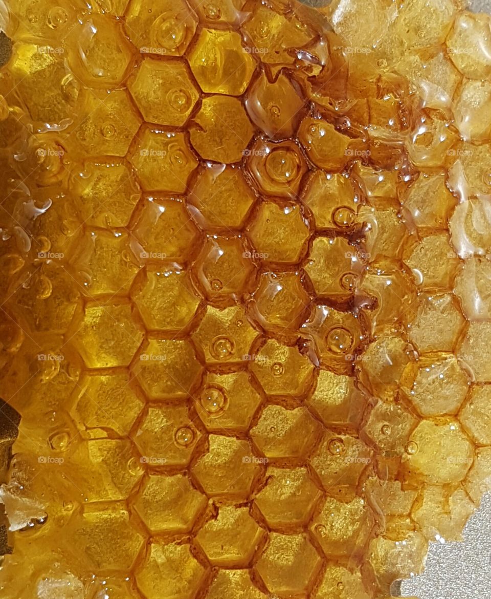 honey comb