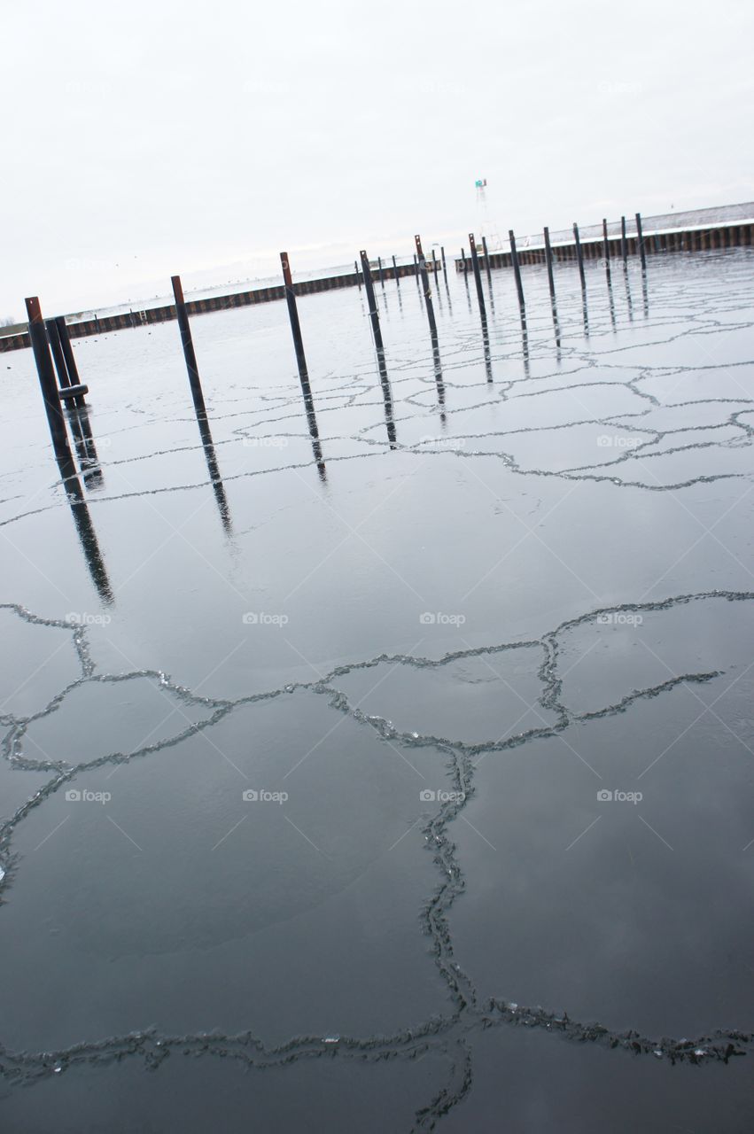 Thin ice in the harbour
