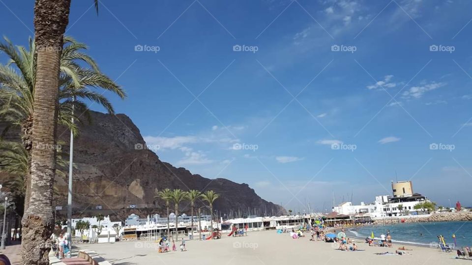 Beach, summer, sea, rock