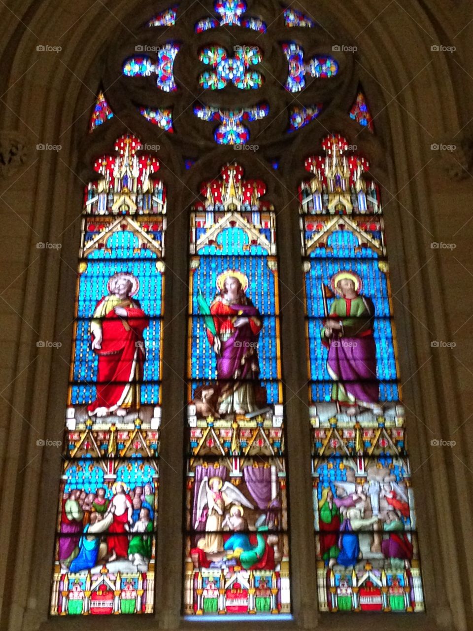 St. Patrick's Cathedral 2